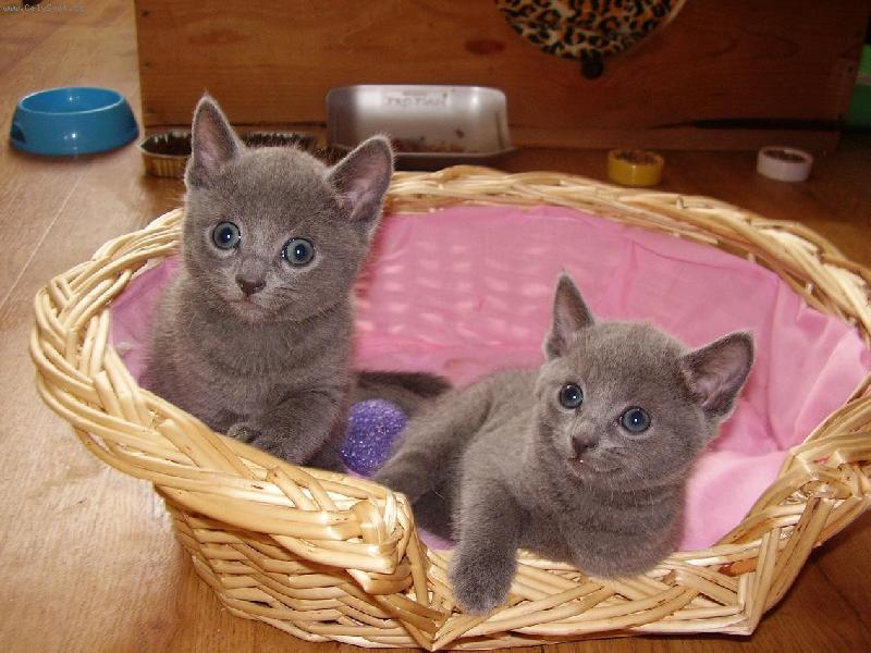 Foto: Leonardo a Leontýnka-Koátka v pelíku