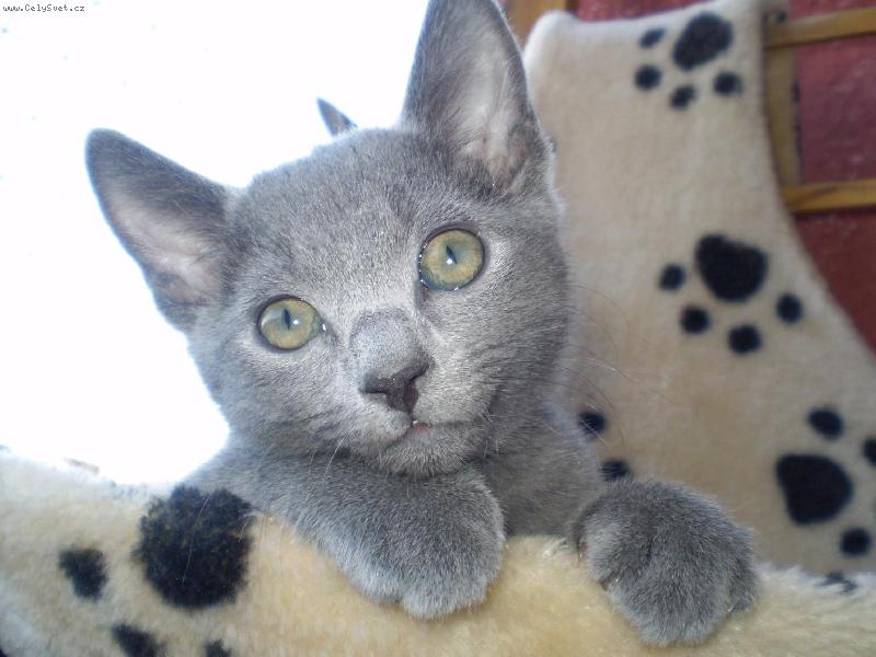 Foto: Leonardo-Na balkóně