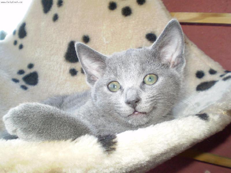 Foto: Leontýnka-Na balkóně