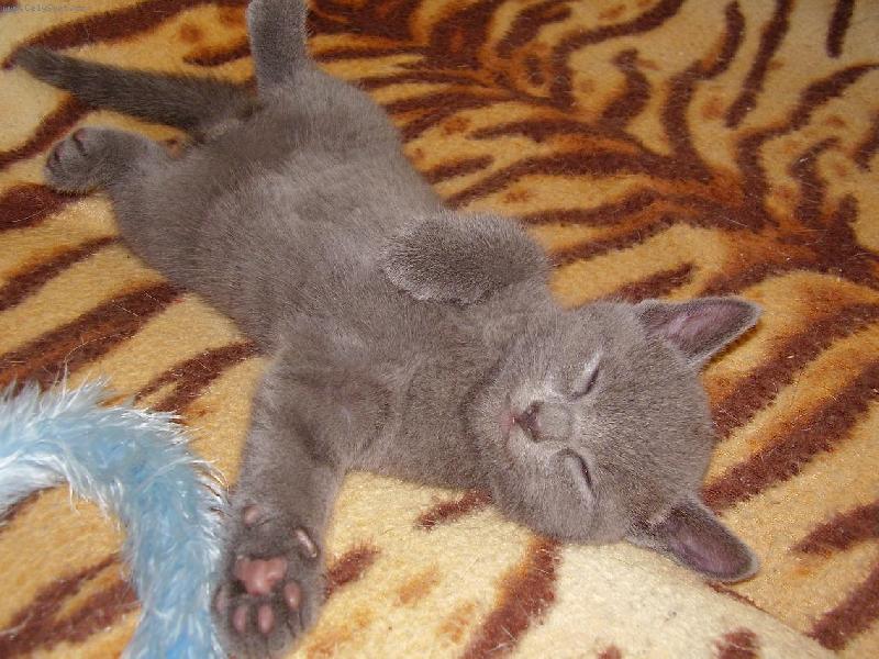 Foto: Leonardo-odpočinek