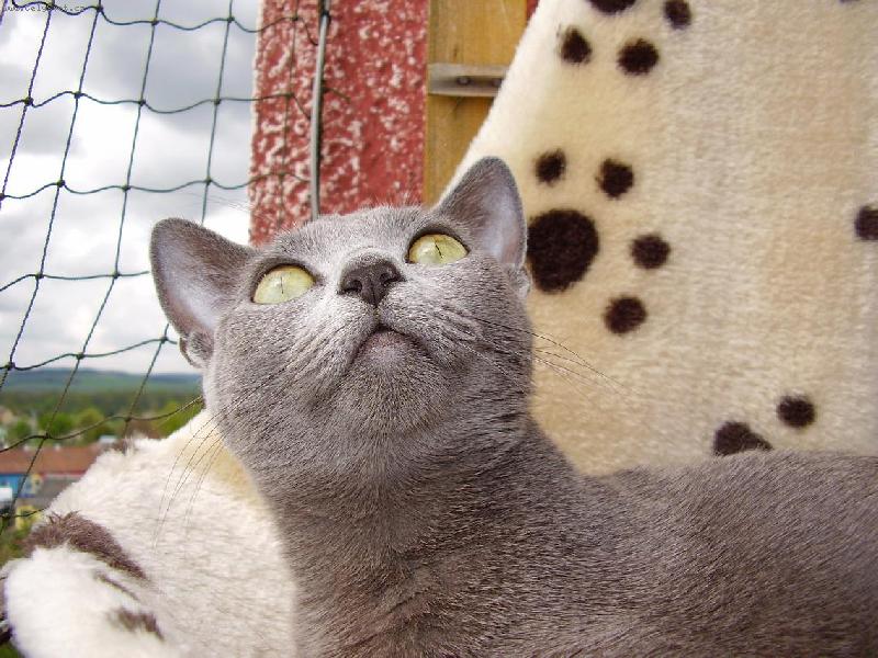 Foto: Filinka-Filinka na balkóně