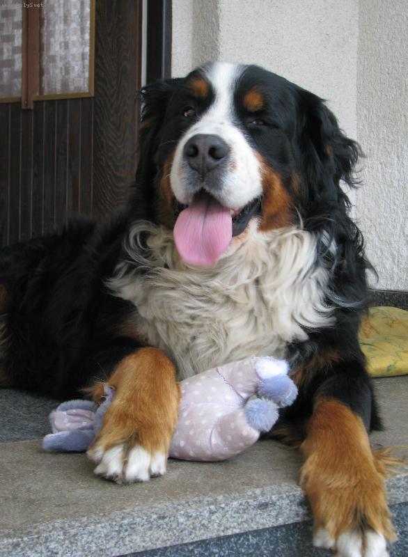 Foto: Jim  s králíkem