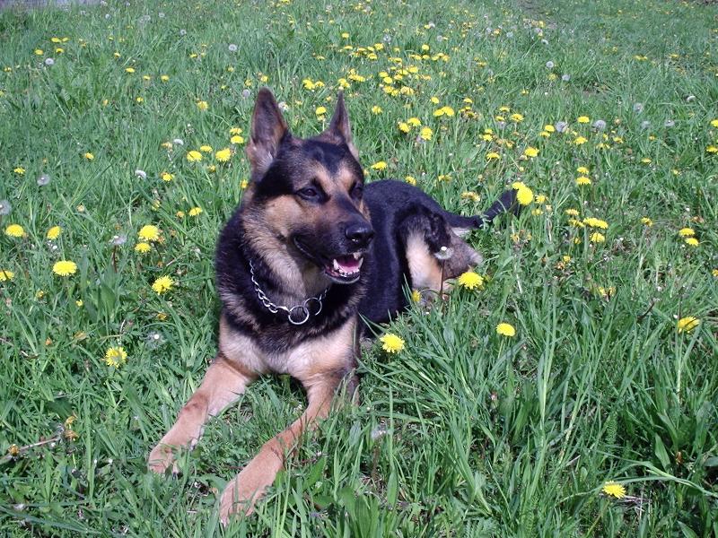 Foto: Rokýšek-odpočinek