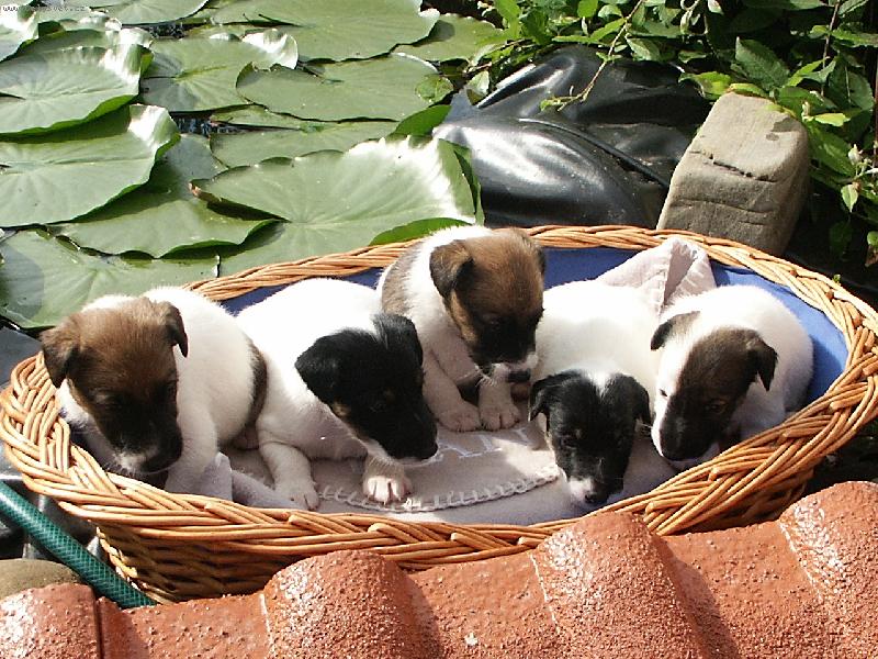 Foto: tak tohle jsem my:-)-3 týdny na světe...