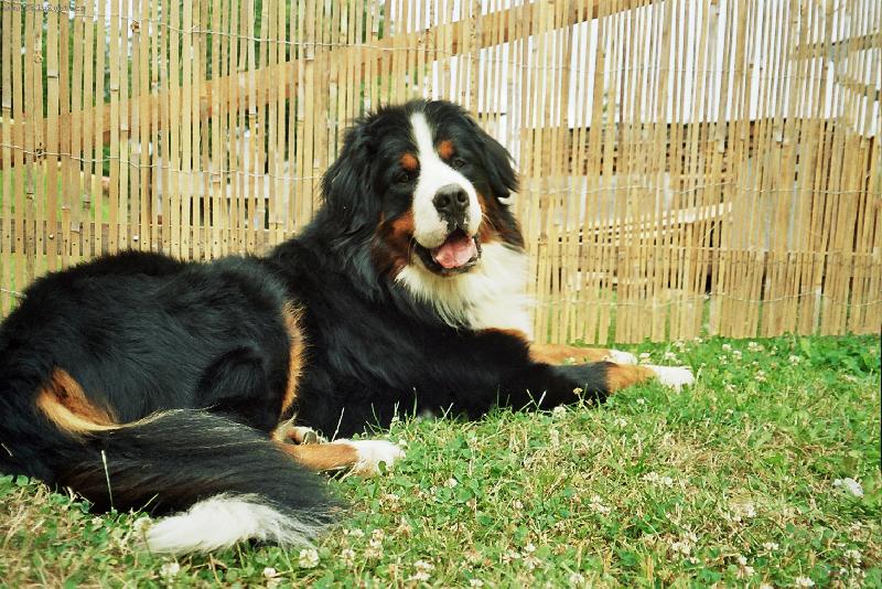 Foto: Ben-Zase mě fotíš?!