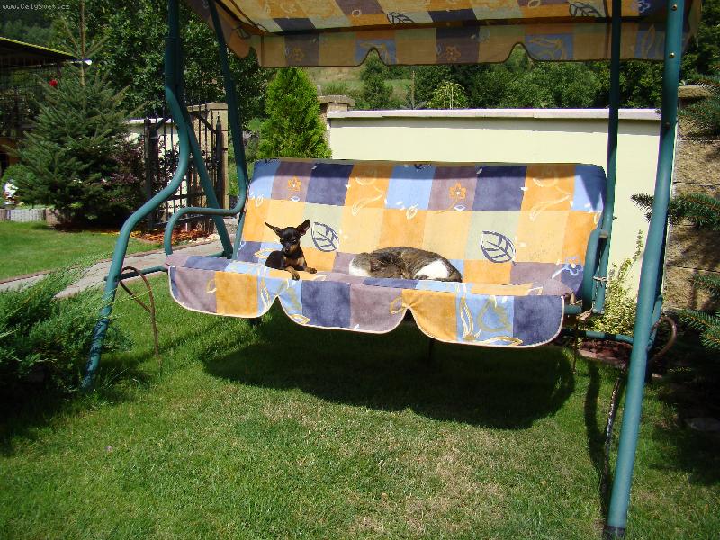 Foto: zoznamka-odpočinok s kocúrom