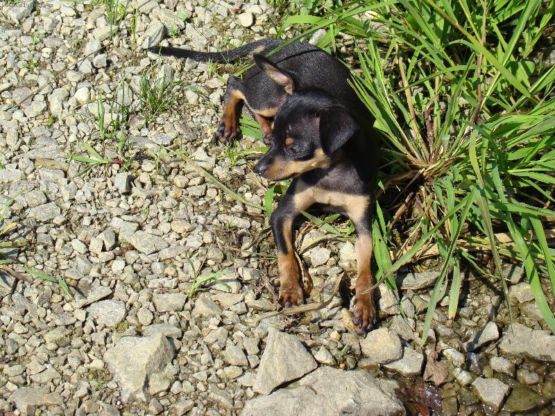 Foto: na rybách-voda