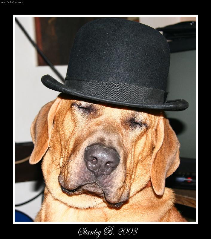 Foto: Baldey ze pičáku 11 měsíců