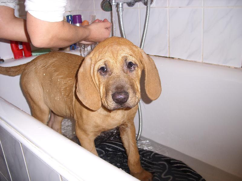 Foto: Baldey ze pičáku ve vaně