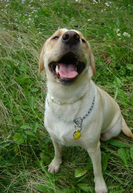 Foto: Úsměv prosím..