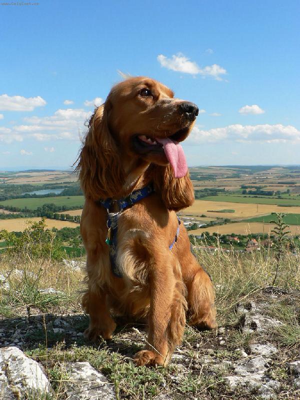 Foto: Póza na výletě