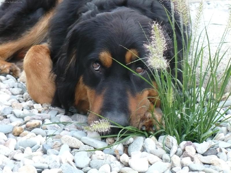 Foto: Co po mně ještě chcete..?