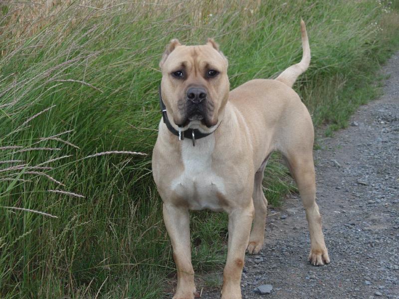 Foto: Rony-30 měsíců