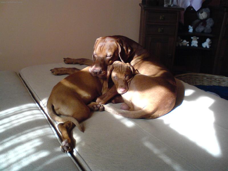 Foto: Paddy a Eimy z Děčína-Konečně Mám ségru