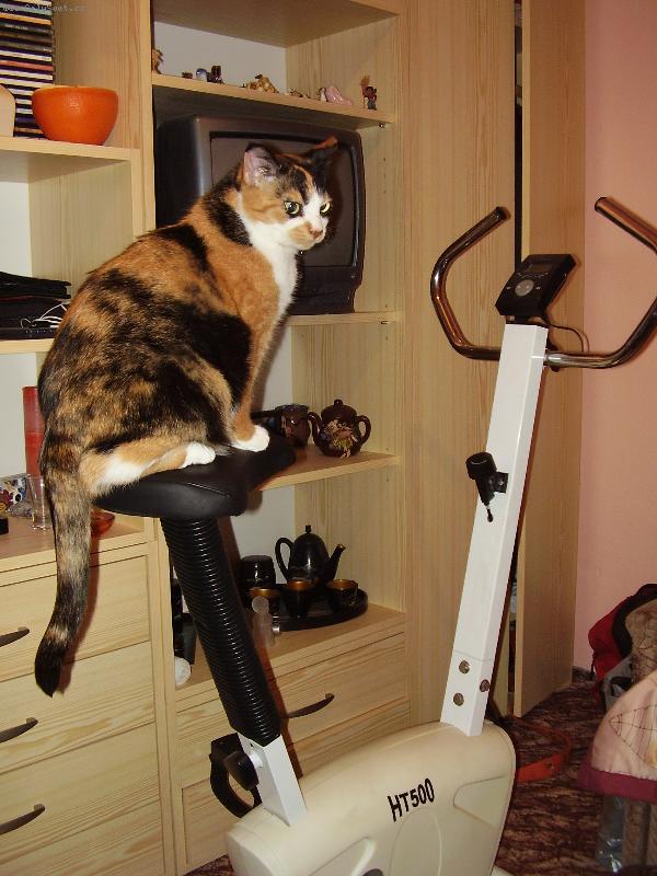 Foto: Zuzana-shodit pár kilo by neškodilo