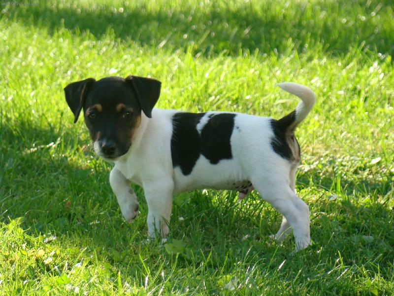 Foto: art-je nám deset týdnu