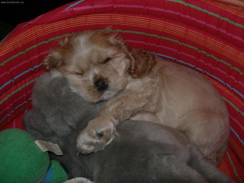 Foto: Ella-spinká v obětí