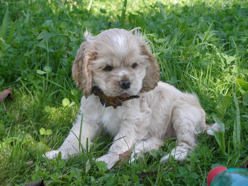 Foto: ella-na procházce