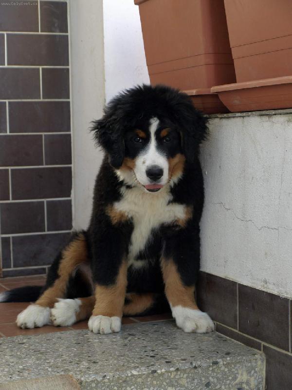 Foto: tak tady hlidam ja-Gwenda 3 měsíce