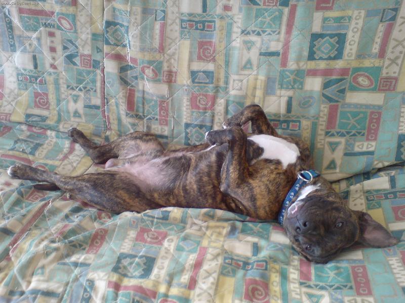 Foto: po práci-oddech po celodenní dřině