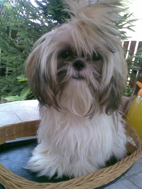 Foto: Muj milacek Betynka