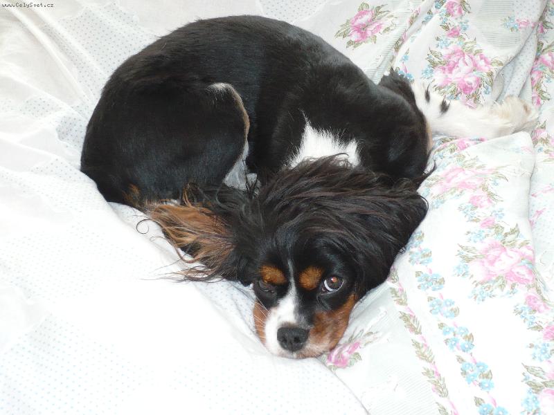 Foto: Moje oblíbené místo