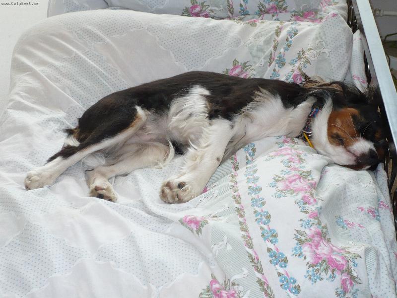 Foto: Spím v posteli