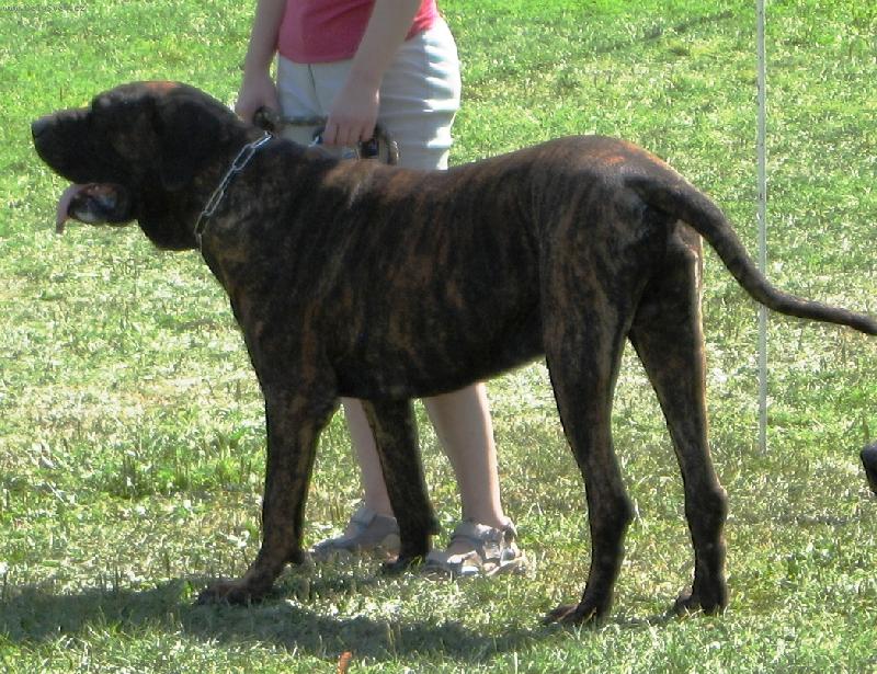 Foto: Burgos Bascoretta