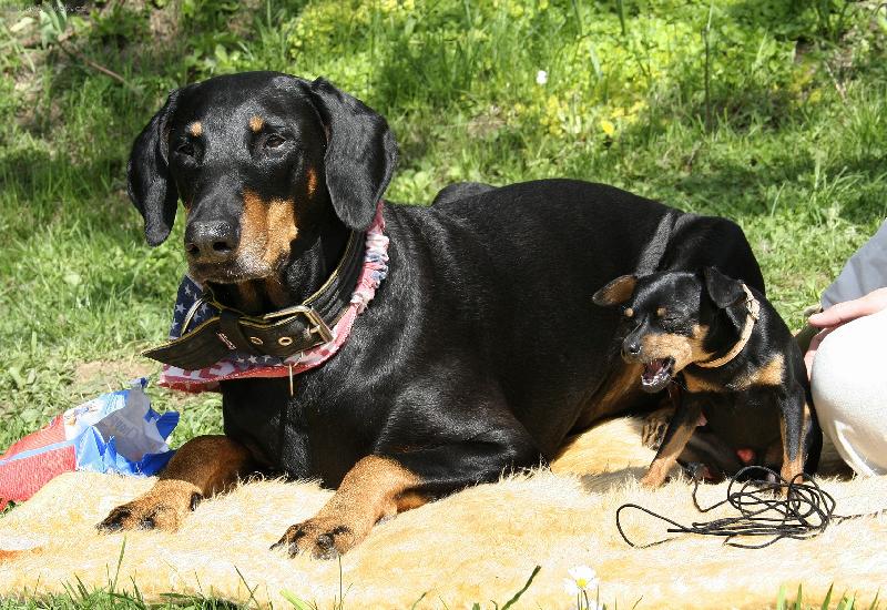 Foto: Dva-Dobrouš s krysaříkem