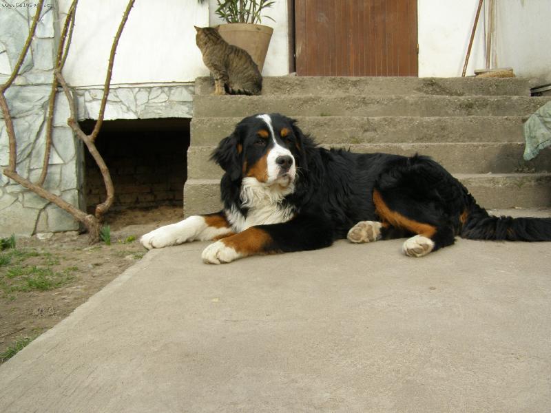 Foto: už půjdem ven