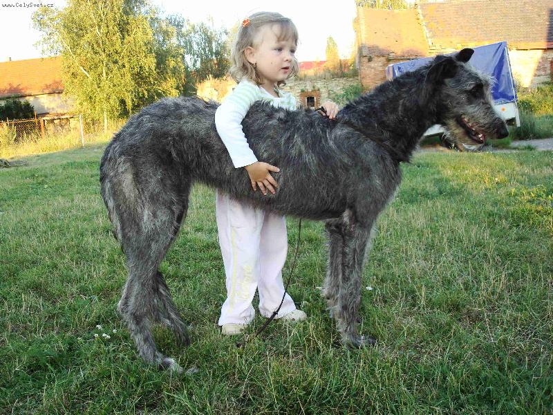 Foto: AZARIA Irsias-Azaria(6měsíců) a Eliška 3roky