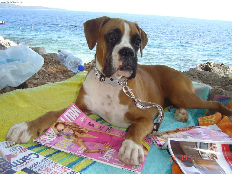 Foto: Roxy-Dovolená u moře...:-)