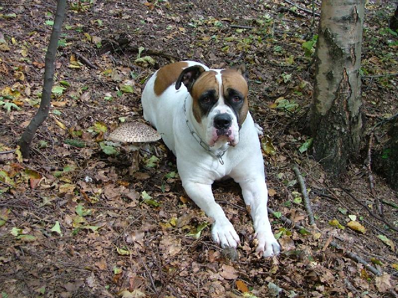 Foto: ...z podzimní procházky...