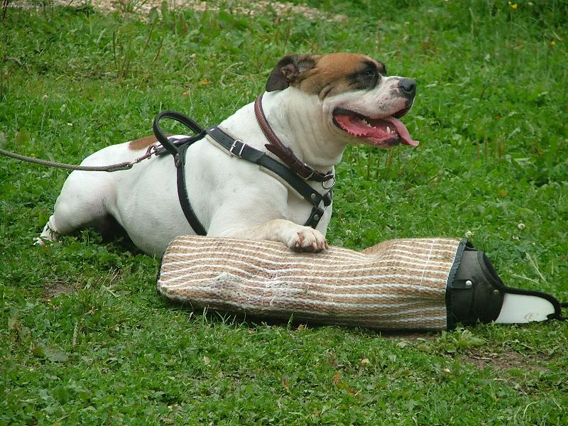 Foto: ...po obranách...