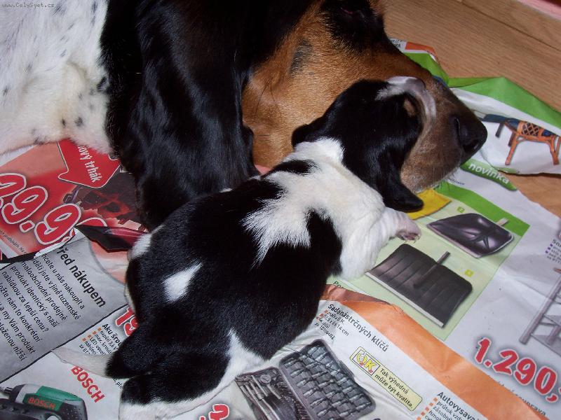 Foto: u maminky je nejlépe