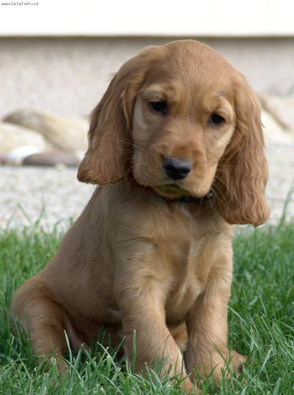 Foto: Amy-????????? 7 týdenní Amy