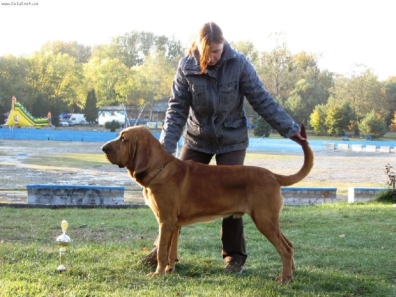 Foto: Almond 9 měsíců 3.Nej BIS junior Rybnik 2008