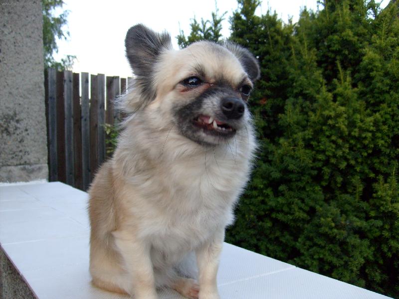 Foto: Špatná nálada . . .