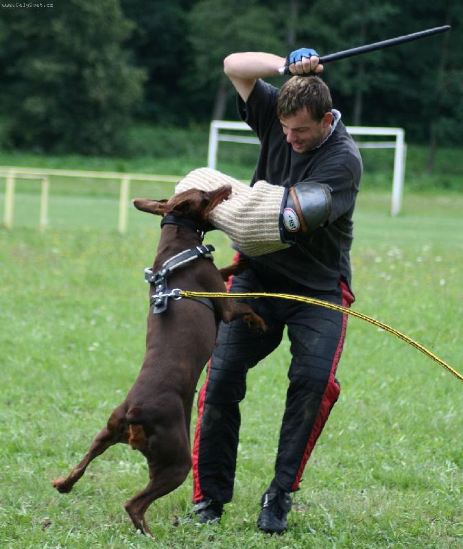 Foto: Kelly Černý trůn