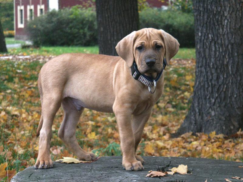 Foto: Baldey ze pičáku