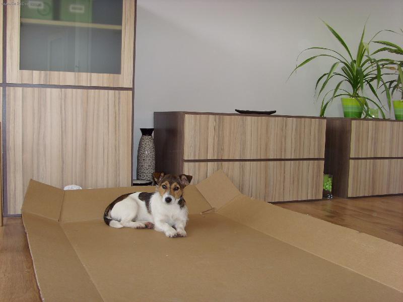 Foto: Hledám kamarády/ky