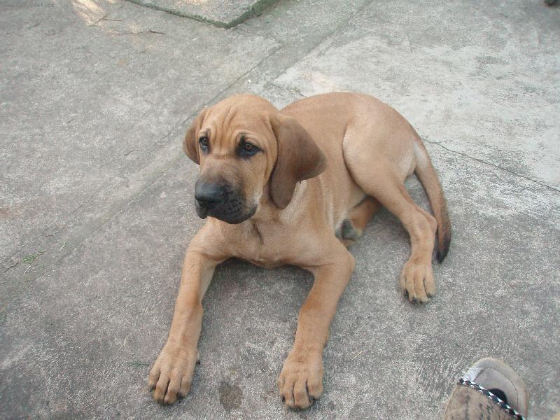 Foto: Aidinka ve 4 měsících