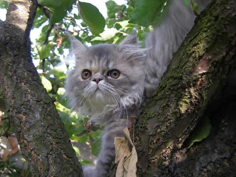 Foto: Maggie si užívá krásy přírody