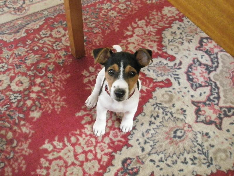 Foto: Rozinka-Tohle je moje malá krasavice