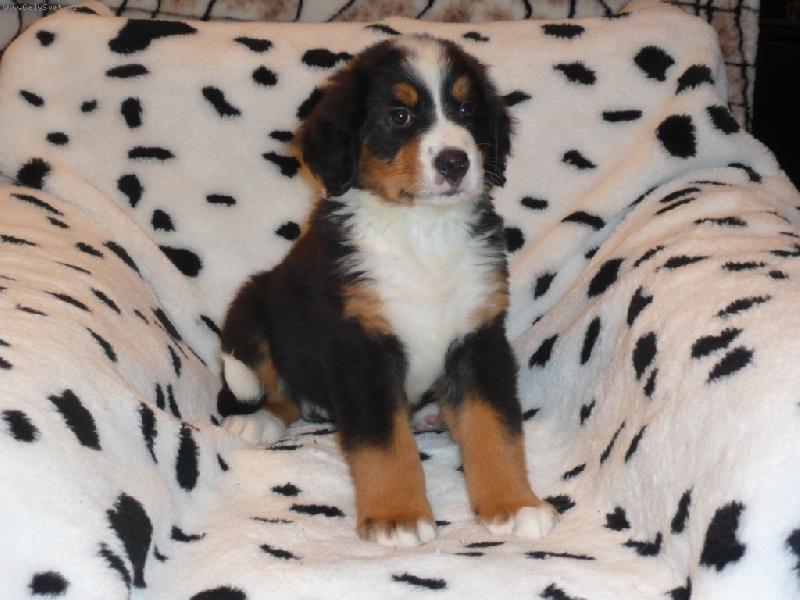 Foto: V  7. týdnech