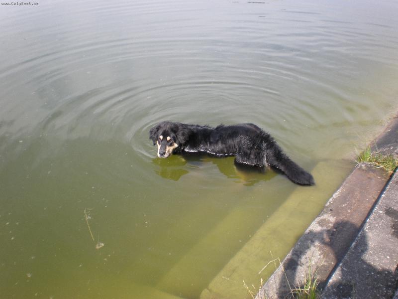 Foto: Akim moc rád plave