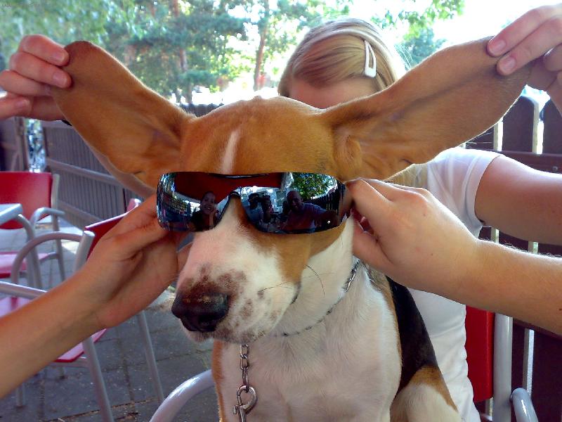 Foto: Big frája-Dafík na pivu