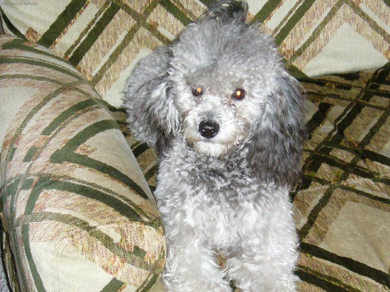 Foto: naše Sinduška