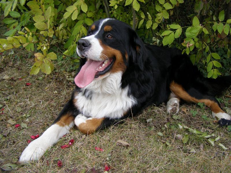 Foto: podzimní pohodička