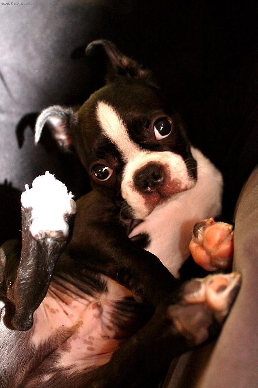 Foto: Alešek-Nebudit, prosím!!!